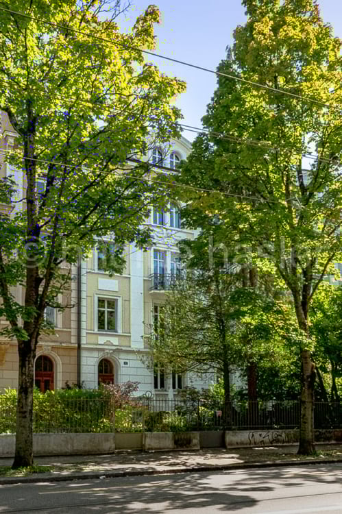 Stilvolle 1-Zimmer-Altbauwohnung an beliebter Lage im Gundeldingerquartier 2