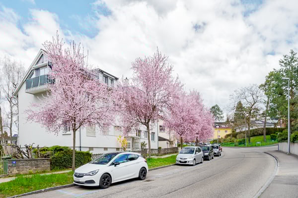Schöne 7.5-Zi-Eigentumswohnung im Dachgeschoss an beliebter Riehener Lage 10