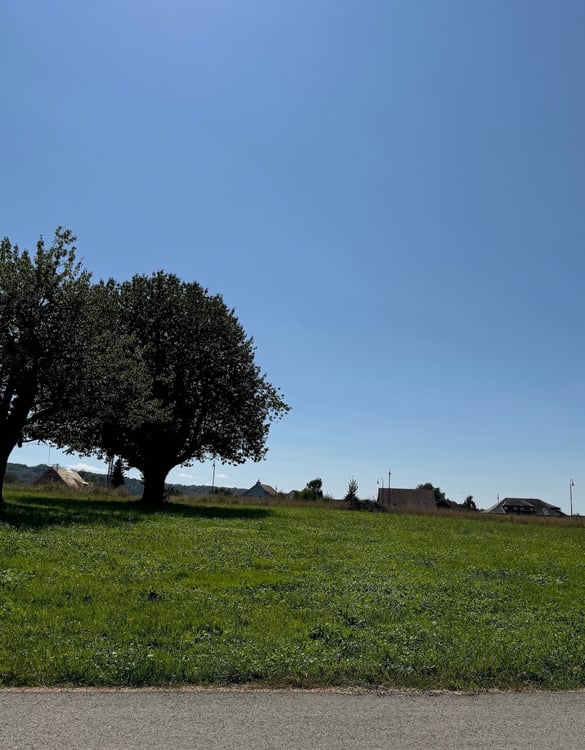 Attraktives Bauland in ruhiger Lage von Möhlin 13