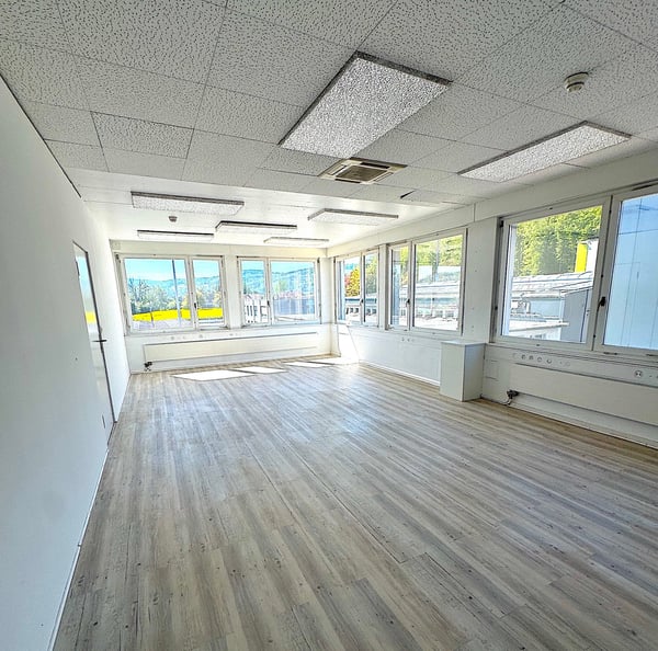 Attraktive Gewerbemietfläche mit Aussicht 2