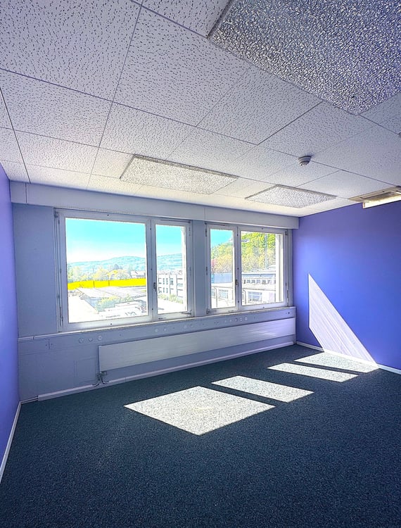 Attraktive Gewerbemietfläche mit Aussicht 3