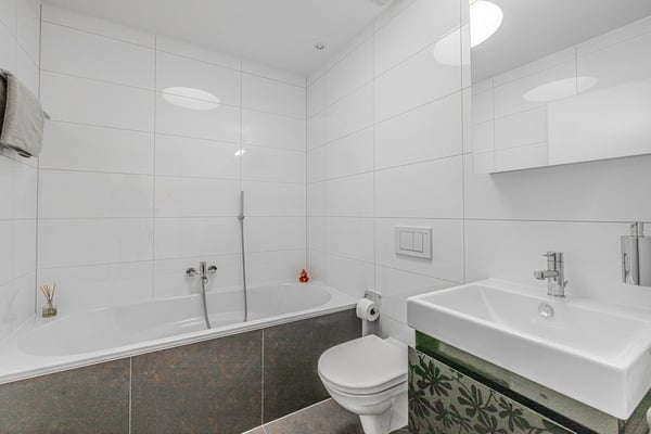 Schönste Penthouse Attikawohnung in Möhlin mit viel Aussicht (verkauft) 13