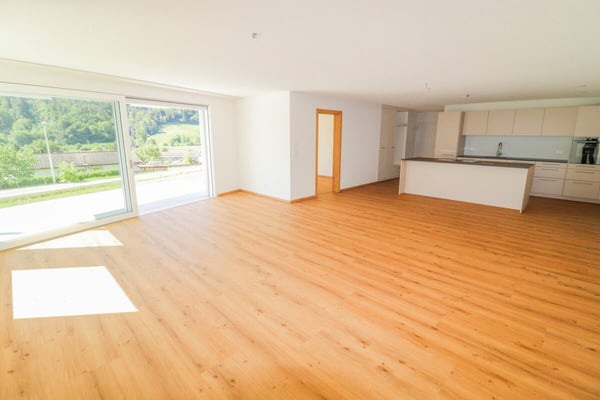 Grosse, moderne 1.5-Zi-Neubauwohnung im Naturpark Thal 6