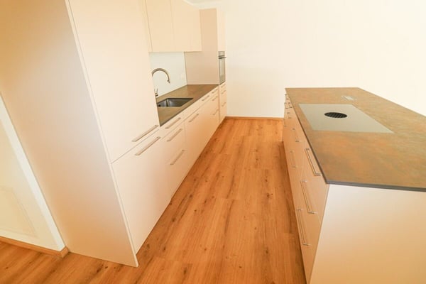 Grosse, moderne 1.5-Zi-Neubauwohnung im Naturpark Thal 7