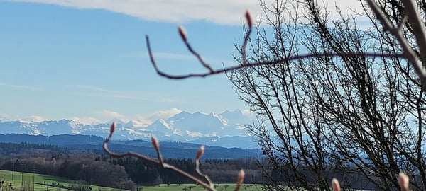 Grosszügiges 4.5-Zi-EFH mit grosser Terrasse mit fantastischer Fernsicht bis zu den Alpen 1
