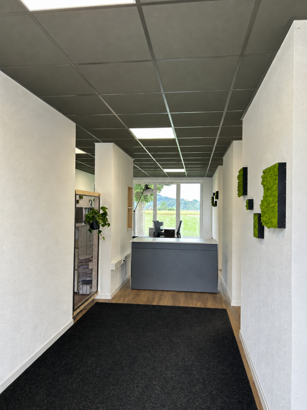 Moderne Gewerberäumlichkeiten an idealer Lage zu vermieten