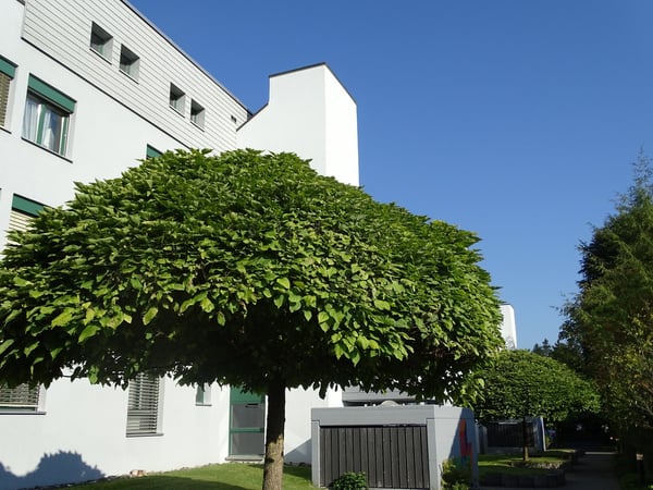 Vorschaubild der Immobilie