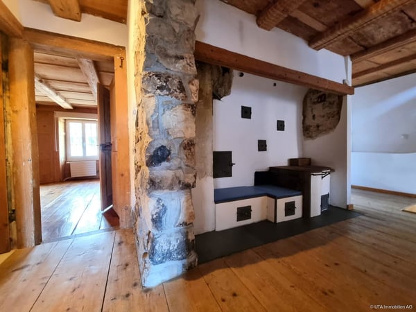 Generationenhaus/Investment - Einfamilienhaus & 2 Rohbauwohnungen 5