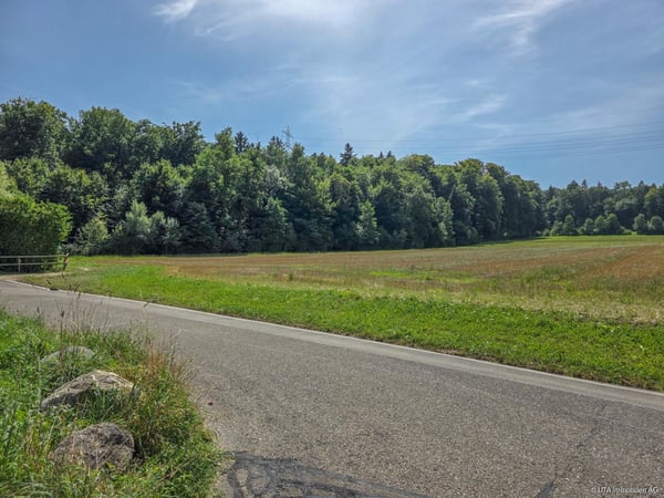 Grosszügiges Einfamilienhaus - Weitblick, Waldnähe & Gartenparadies 13