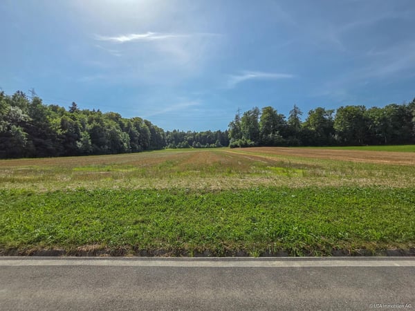 Grosszügiges Einfamilienhaus - Weitblick, Waldnähe & Gartenparadies 3
