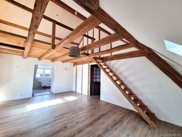 Generationenhaus/Investment - Einfamilienhaus & 2 Rohbauwohnungen 8