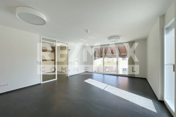 Renditeobjekt - Geschäftsliegenschaft 4