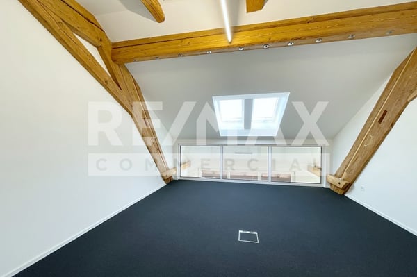 Renditeobjekt - Geschäftsliegenschaft 6