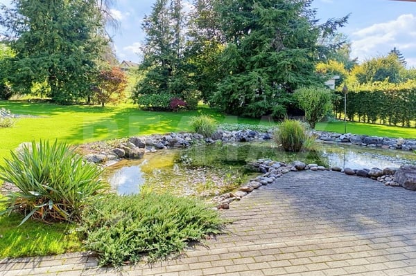 Einfamilienhaus im Bungalow-Stil mit Wellness-Oase und grossem Garten 4