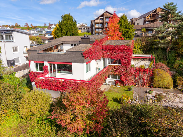 Freistehendes 1.5 Zimmer EFH mit schöner Aussicht 3