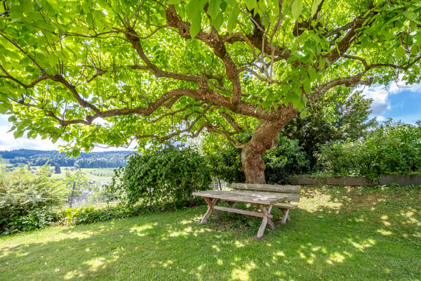 Tolles 5.5-Zimmer-Einfamilienhaus mit atemberaubender Aussicht 1