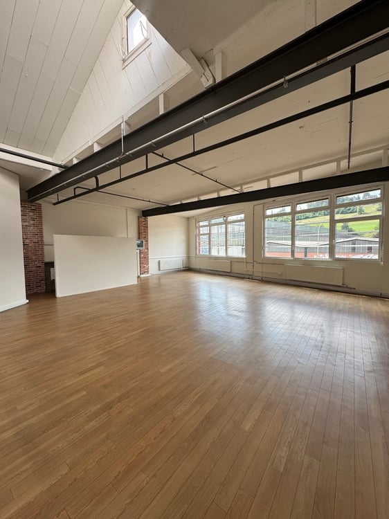 Helle und grosszügige LOFT- Büro- oder Gewerberäume 1