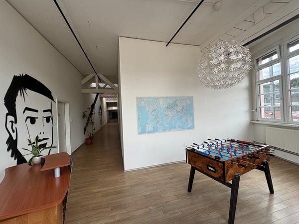 Heller und grosszügiger LOFT- Büro- oder Gewerberaum 4