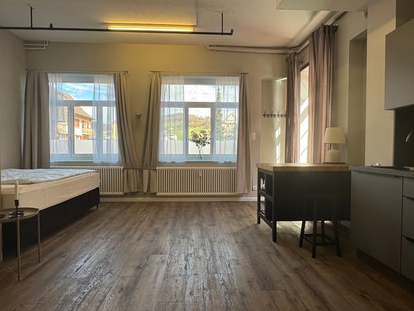 Loft / Studio in Gehdistanz Bahnhof Frenkendorf 7