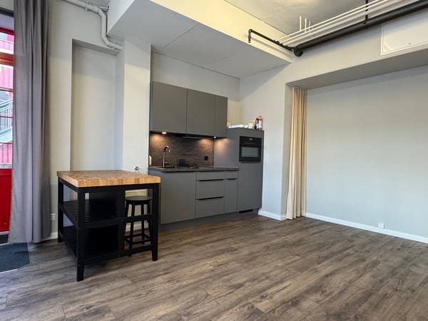 Loft / Studio in Gehdistanz Bahnhof Frenkendorf 2