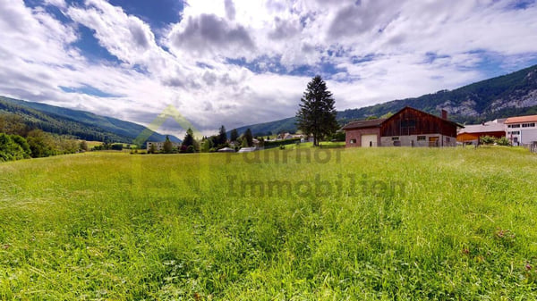 Wohnhaus mit Oekonomiegebäuden und 4'800 m2 Land 4