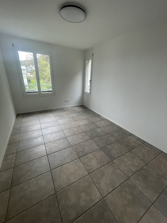 Ein Nest am Waldrand 6