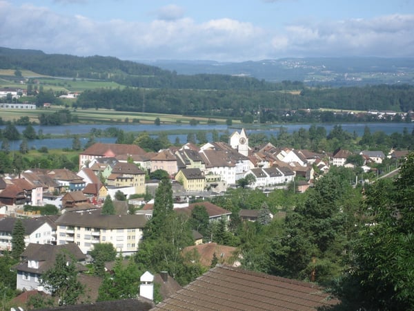 Ein Nest am Waldrand 10