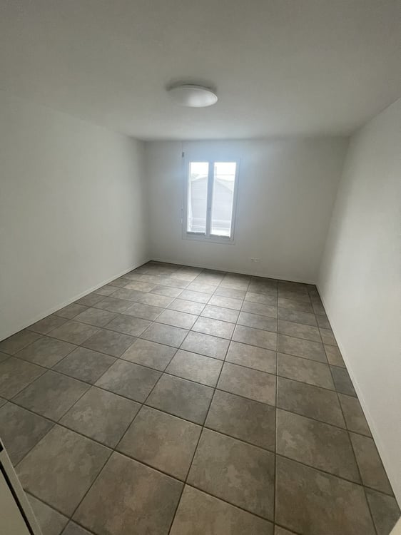 Ein Nest am Waldrand 5