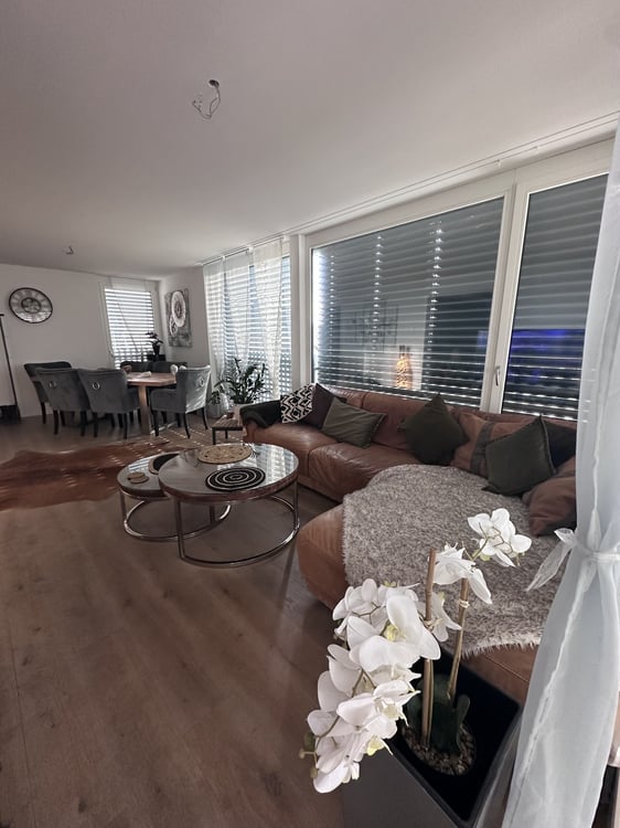 Wunderschöne 1.5-Zi.-Wohnung in Klingnau 4