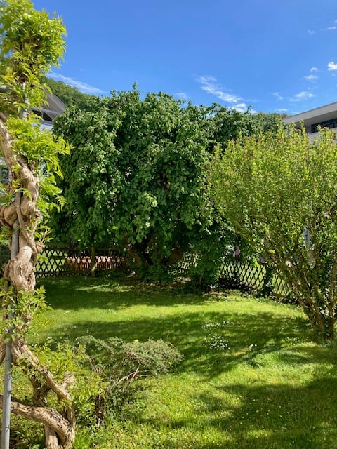 Grosse 4.5 -Zimmer-Gartenwohnung in Würenlingen – sofort verfügbar! 3
