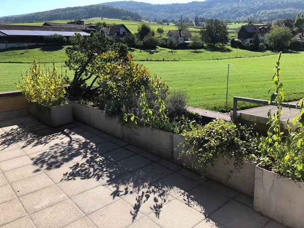 Grosszügige 1.5-Zimmer-Attika-/Dachwohnung mit herrlicher Aussicht 11