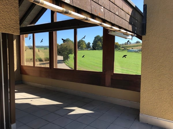 Grosszügige 1.5-Zimmer-Attika-/Dachwohnung mit herrlicher Aussicht 10