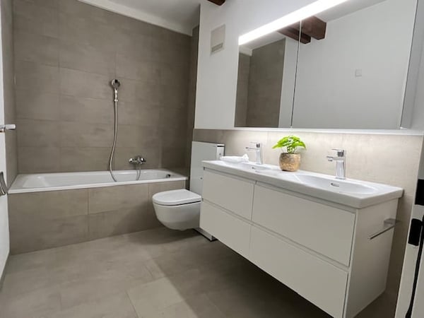 Grosszügige 1.5-Zimmer-Attika-/Dachwohnung mit herrlicher Aussicht 9