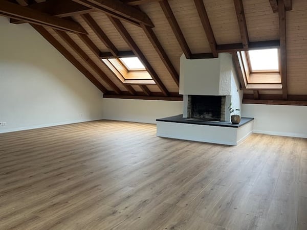 Grosszügige 1.5-Zimmer-Attika-/Dachwohnung mit herrlicher Aussicht 6