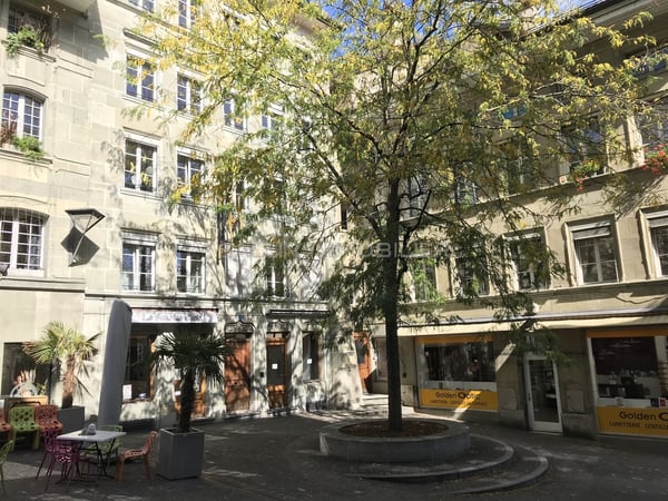 SURFACE COMMERCIALE DANS UNE RUE PIÉTONNE 1