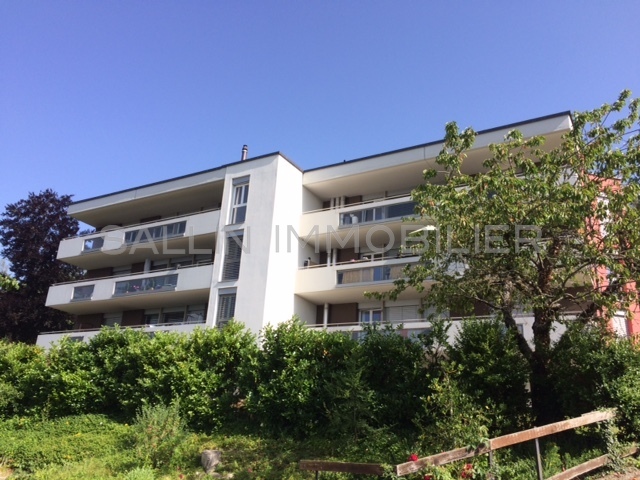 Bild APPARTEMENT RENOVE DE 2½ PIÈCES AVEC VUE DEGAGEE