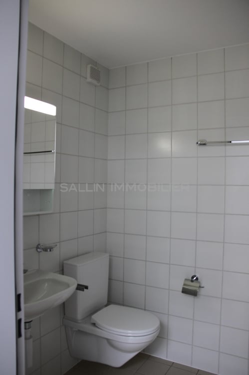 VILLA TRIPLEX CONTIGUE DANS LE QUARTIER DU SCHOENBERG 7