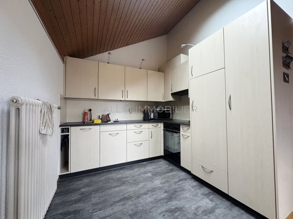 2 immeubles de rendement idéalement situés au coeur du village 9