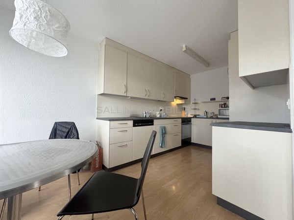 2 immeubles de rendement idéalement situés au coeur du village 7