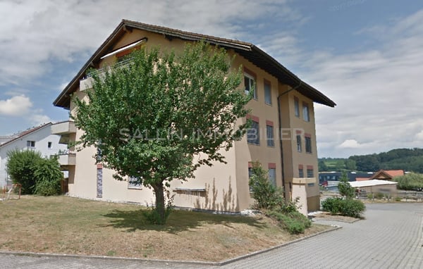 2 immeubles de rendement idéalement situés au coeur du village 1