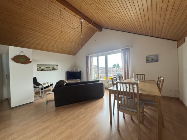 2 immeubles de rendement idéalement situés au coeur du village 10