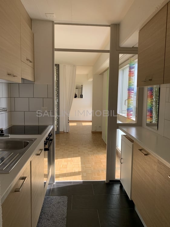 APPARTEMENT RENOVE DE 1½ PIECES AVEC VUE DEGAGEE 3