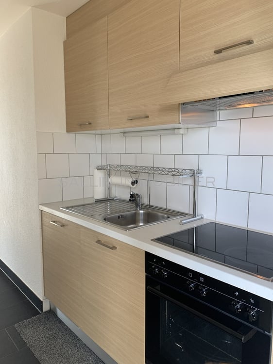 APPARTEMENT RENOVE DE 1½ PIECES AVEC VUE DEGAGEE 5