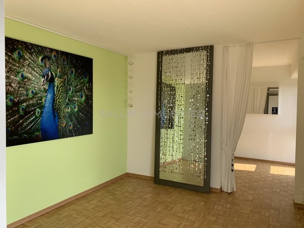 APPARTEMENT RENOVE DE 1½ PIECES AVEC VUE DEGAGEE 13