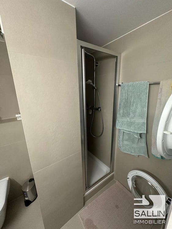 APPARTEMENT DUPLEX RENOVE DE 3½ PIECES A L'ENTREE DE LA BASSE VILLE 12