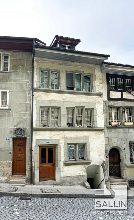 APPARTEMENT DUPLEX RENOVE DE 3½ PIECES A L'ENTREE DE LA BASSE VILLE 1