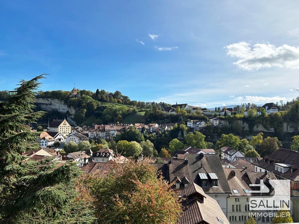 APPARTEMENT DUPLEX RENOVE DE 3½ PIECES A L'ENTREE DE LA BASSE VILLE 6