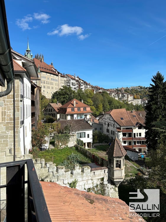 APPARTEMENT DUPLEX RENOVE DE 3½ PIECES A L'ENTREE DE LA BASSE VILLE 13