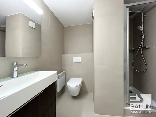 APPARTEMENT DUPLEX RENOVE DE 3½ PIECES A L'ENTREE DE LA BASSE VILLE 10
