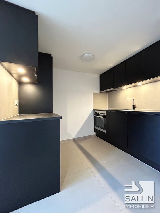 APPARTEMENT DUPLEX RENOVE DE 3½ PIECES A L'ENTREE DE LA BASSE VILLE 5